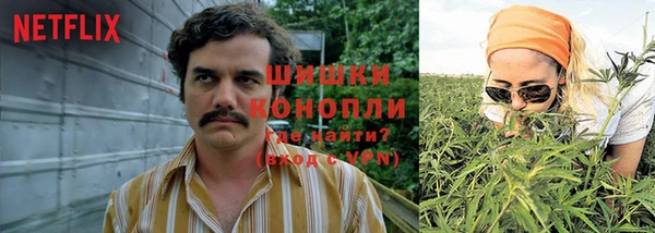 ПСИЛОЦИБИНОВЫЕ ГРИБЫ Волосово