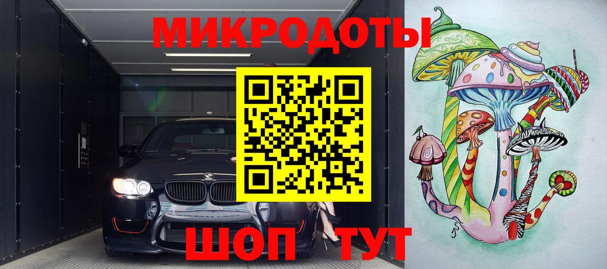 Псилоцибиновые грибы Psilocybe Ноябрьск